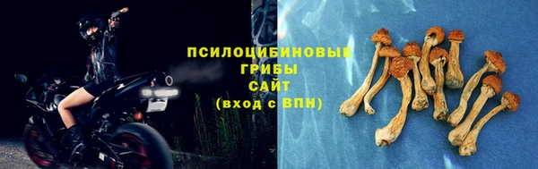 СК Инсар