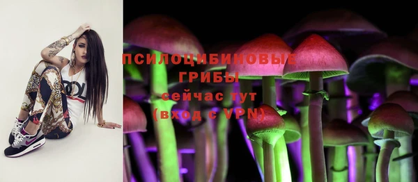 герыч Инта