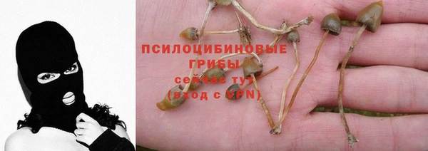 герыч Инта