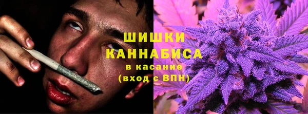 СК Инсар