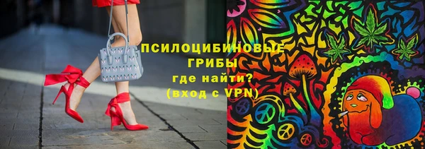 СК Инсар