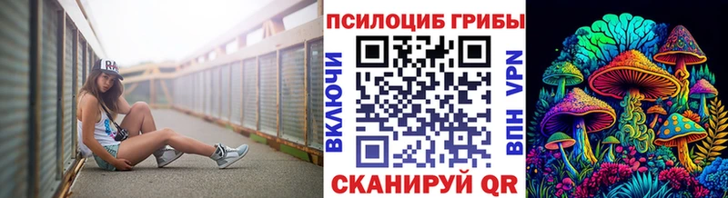 Псилоцибиновые грибы Cubensis Дигора