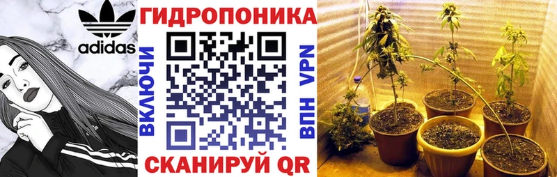 Купить где  Дигора  Каннабис марихуана 